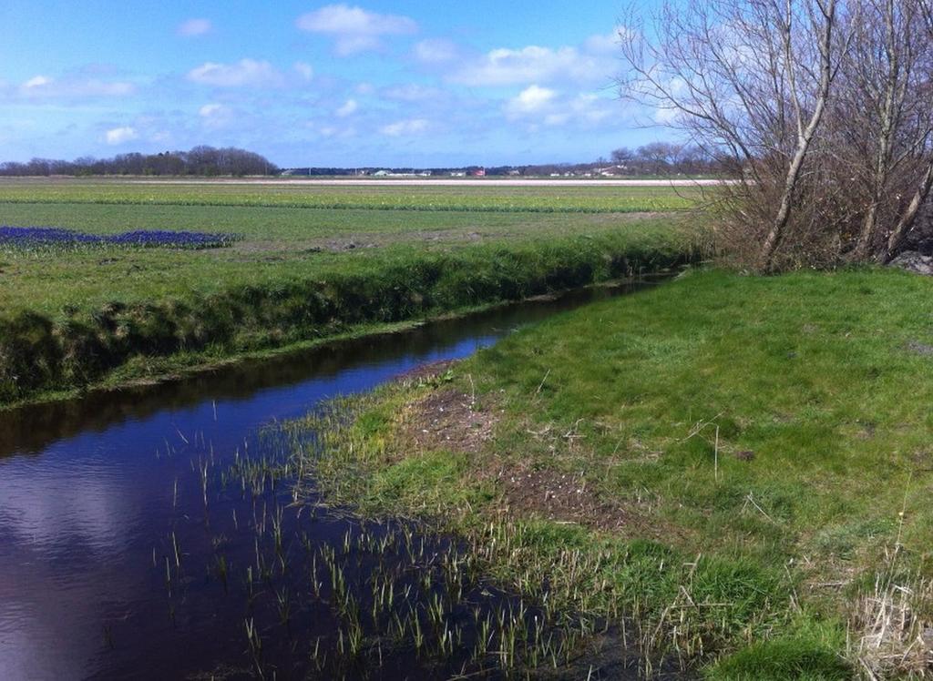 Strand49 Glamping Sint Maartenszee Sint Maartensvlotbrug Eksteriør billede
